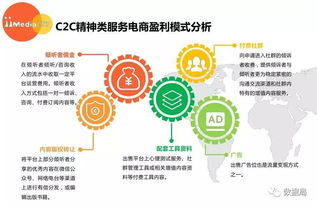 2017上半年中國(guó)精神類服務(wù)電商市場(chǎng)研究報(bào)告 信息咨詢服務(wù)分析